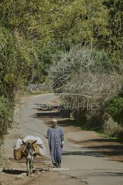 Image du Maroc Professionnelle de  Un berbères bien chargé de marchandise arrive au marché de Tnine Ourika, le village berbère située dans la vallée de l'Ourika sur la route de l'Oukaimden dans le haut Atlas, Mardi 27 Février 2007. (Photo / Abdeljalil Bounhar)